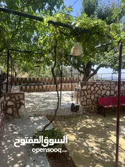 15 ششقق مفروشه ومستقله في جبال عجلون