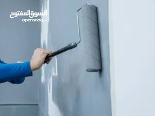 1 wall paint and jipsombord