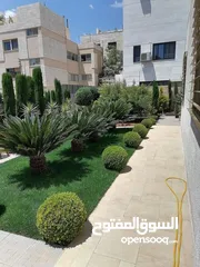  5 نجيل طبيعي للحدائق M5 - صنف وعرض مميز