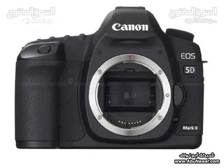  1 5d mark 2 with sigma lens 10-20  3.5