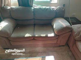  1 طقم كنب الدب الأمريكي