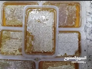  11 عسل طبيعي 100% سدر حمضي جبلي  ومضمون وشمع بالعسل وغداء الملكات