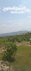  7 مزرعه  صغريه راقيه على قمه جبل مطله للغرب كوشان مستقل بسعر مميز جدا منطقه مزراع راقيه
