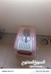  5 للبيع قط سكوتش فولد