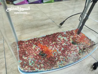  4 حوض سمك كيرف مستورد ، من اجود انواع الأحواض المقاسات بالوصف