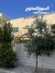  3 بيت بالقرب من دوار الكمالية للبيع