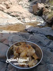  5 عسل جبلي ابو طويق