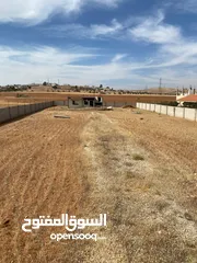  8 ارض 2,250 متر مسورة مع منزل في بلعما 35,000 قابل للتفاوض