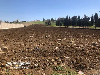  1 أرض للبيع في السلط