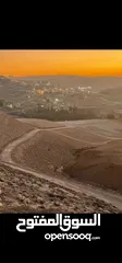  8 قطع (طابو)  مطلة على شارع المية(ممر عمان التنموي) وادي العش من المالك
