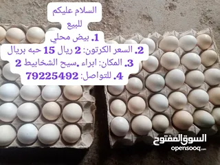  2 دجاج عماني بيع