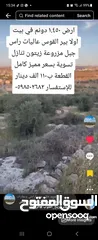  1 ارض 1.450 دونم في بيت اولا بير القوس راس جبل مزروعة زيتون