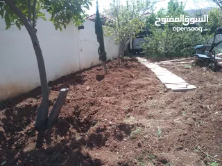  6 تنسيق الحدائق المنزليه وتشكيل أشجار الزينه وقص كافة الأشجار وتلقيمها