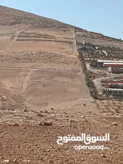  1 ارض 4 دونم بسعر 40000 غير قابل لتفاوض