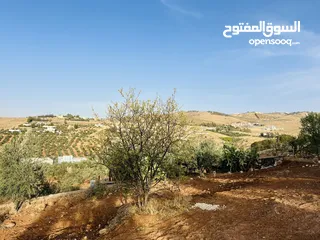  3 بسم الله الرحمن الرحيم ارض للبيع في بيرين حوض القصبات مساحه 543م2 جميع الخدمات على شارعين مزروعه