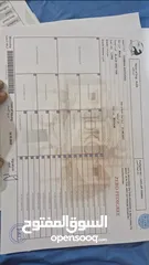 3 ذكر وانثى جيرمن شيبرد للبيع