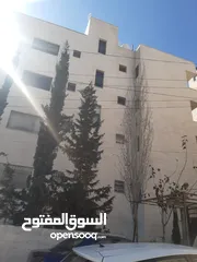 5 ستوديو للايجار مكون من غرفة ومطبخ وحمام للموظفين فقط   الرجاء عدم الاحراج قرب مديرية شؤون الأفراد