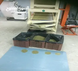  14 خط تنظيف وتعبئة الفريكه - فل اوتوماتيك