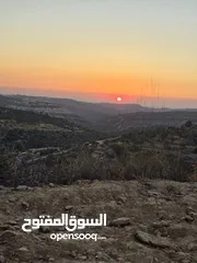  1 ارض مربعه الشكل اطلاله غربيه منطقه فلل ابو شخيدم  منطقه ظهر صبيح حوض2 واصلها جميع الخدمات للجادين