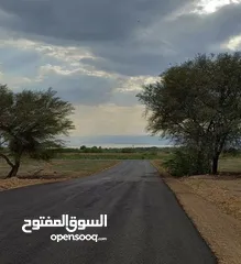  4 ارض للبيع  الحديب 2 دونم على 3 شوارع منطقة مرتفعه ذات إطلالة خضراء