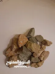  12 حوض سمك بسعر حرق اقرأ الوصف+عرض لفترة محدودة  بسعر حرق منافس للأخرين اقرأ الوصف