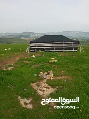  14 خيم شعر تراثيه