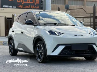  29 بس واي دي سيجول 305k 2023