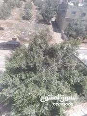  3 عمارة لبيع بالقرب من البنك العربي الشارع الرئيسي