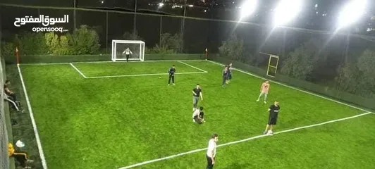  17 عشب ملاعب / عشب حدائق / عشب مدارس / عشب مزارع / عشب صناعي/ نجيل / تارتان Playground grass