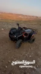  13 Kawasaki BRUTE FORCE 300