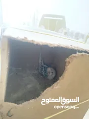  1 جوزين حب ماكنات انتاج بسعر حرق