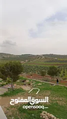  3 مزرعه مع فيلا راقيه قيد الانشاء على تله طريق اربد عمان ثغره عصفور