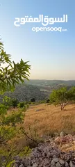  28 مزرعه  صغريه راقيه على قمه جبل مطله للغرب كوشان مستقل بسعر مميز جدا منطقه مزراع راقيه