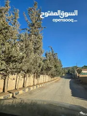  4 قطعة ارض للبيع تل الرمان خيل وليل