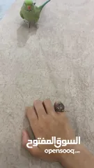  4 ذكر دره اليف ومتكلم