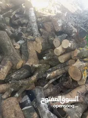  12 حطب زيتون زند وقرمي ناشف حطب لوزيات ناشف