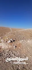  25 قطعه ارض للبيع