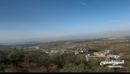  1 ارض تصلح للتنمير وفيها مربح ممتاز