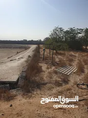  1 مزرعة للبيع بموقع مميز قريب للخدمات والسعر مناسب