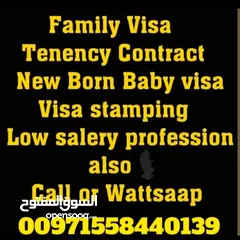  1 Freelance ( 6500 AED only) and Family 2 year UAE visa.No advance Money.