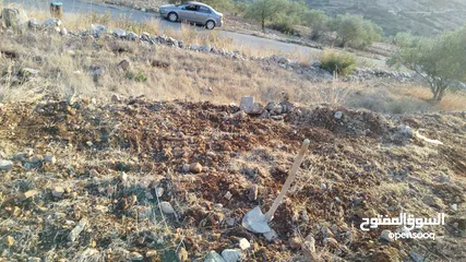  1 قطعة أرض مميزة في مزارع النوباني