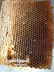  1 عسل نحل طبيعي