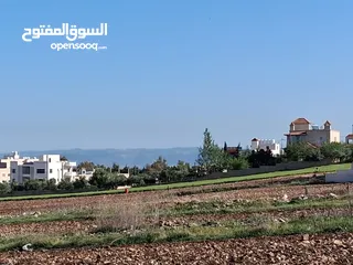  3 ارض للبيع في اجمل مواقع السرو