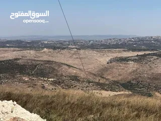  6 نمرة أرض مساحة 500 متر في مشروع أبو صالحة ، بزاريا / كوشان طابو مفروز تصنيف A