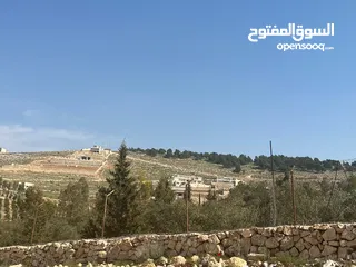  6 ارض للبيع  العنيبه حوض الحميدي من المالك مباشرة اطلاله عالية بالقمه
