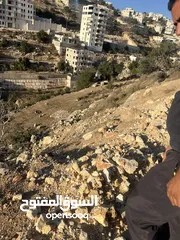  12 ارض واد الزرزير مطله وهادئه