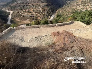  24 عجول قطعة ارض مساحتها 811 متر كوشان طابو مستقل سلطة أ تنازل فوري