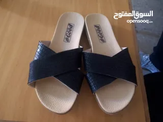  1 شروة حفايات نسواني