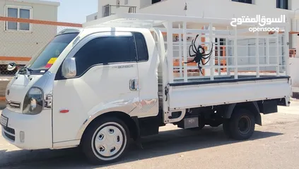  1 صندوق بورتر او بنجو للبيع