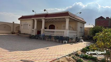  10 قصر للبيع في الريف الاوروبي طريق مصر اسكندريه الصحراوي